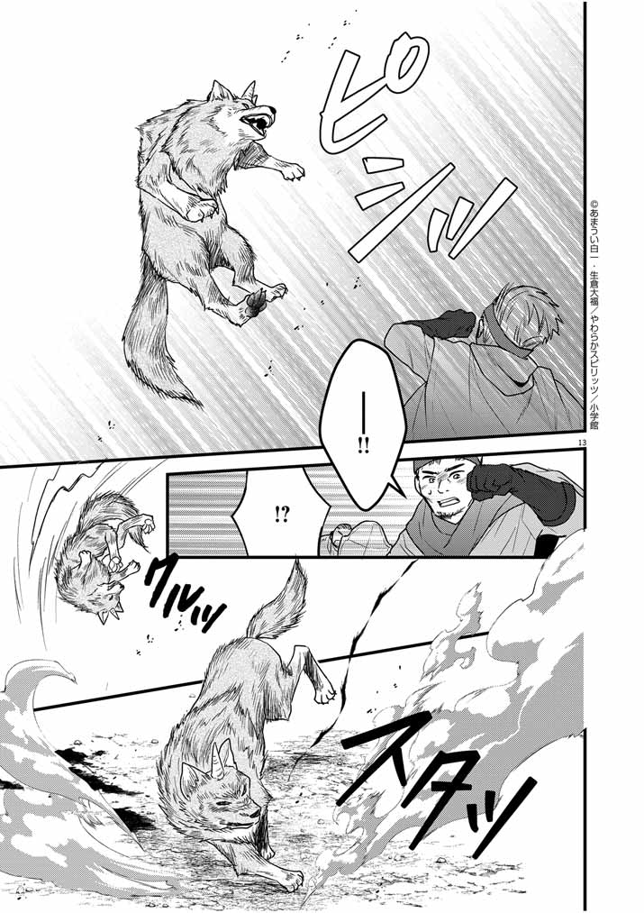 13