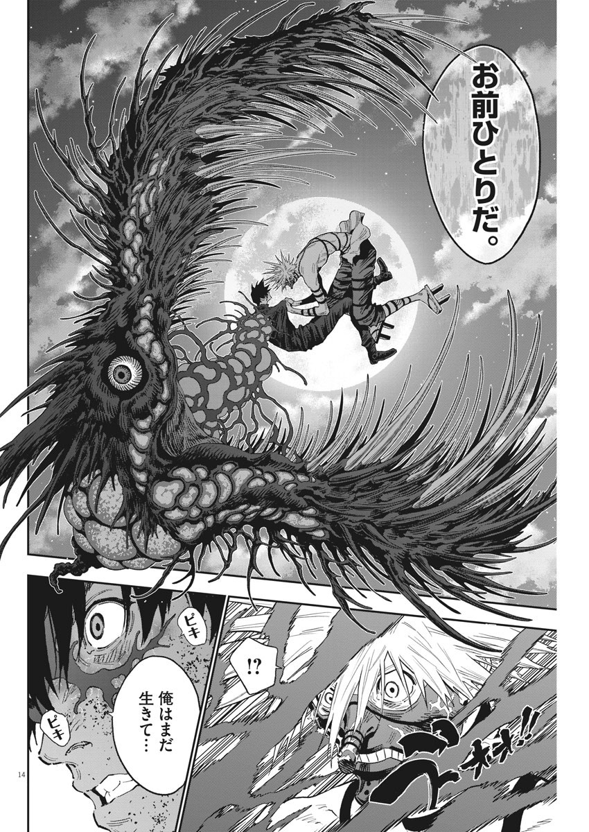 14