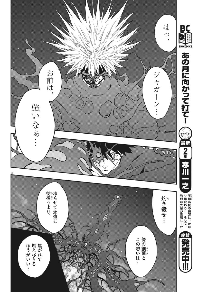 16
