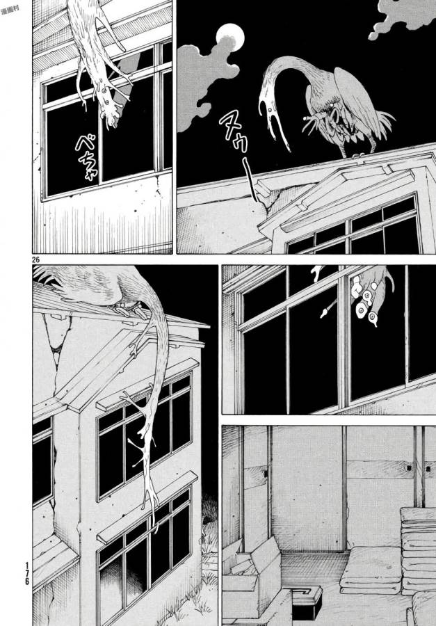 26
