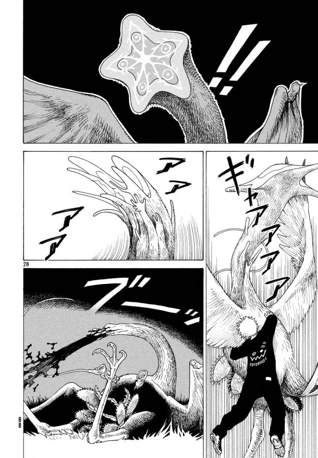 28