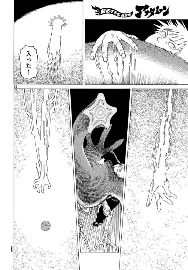 26