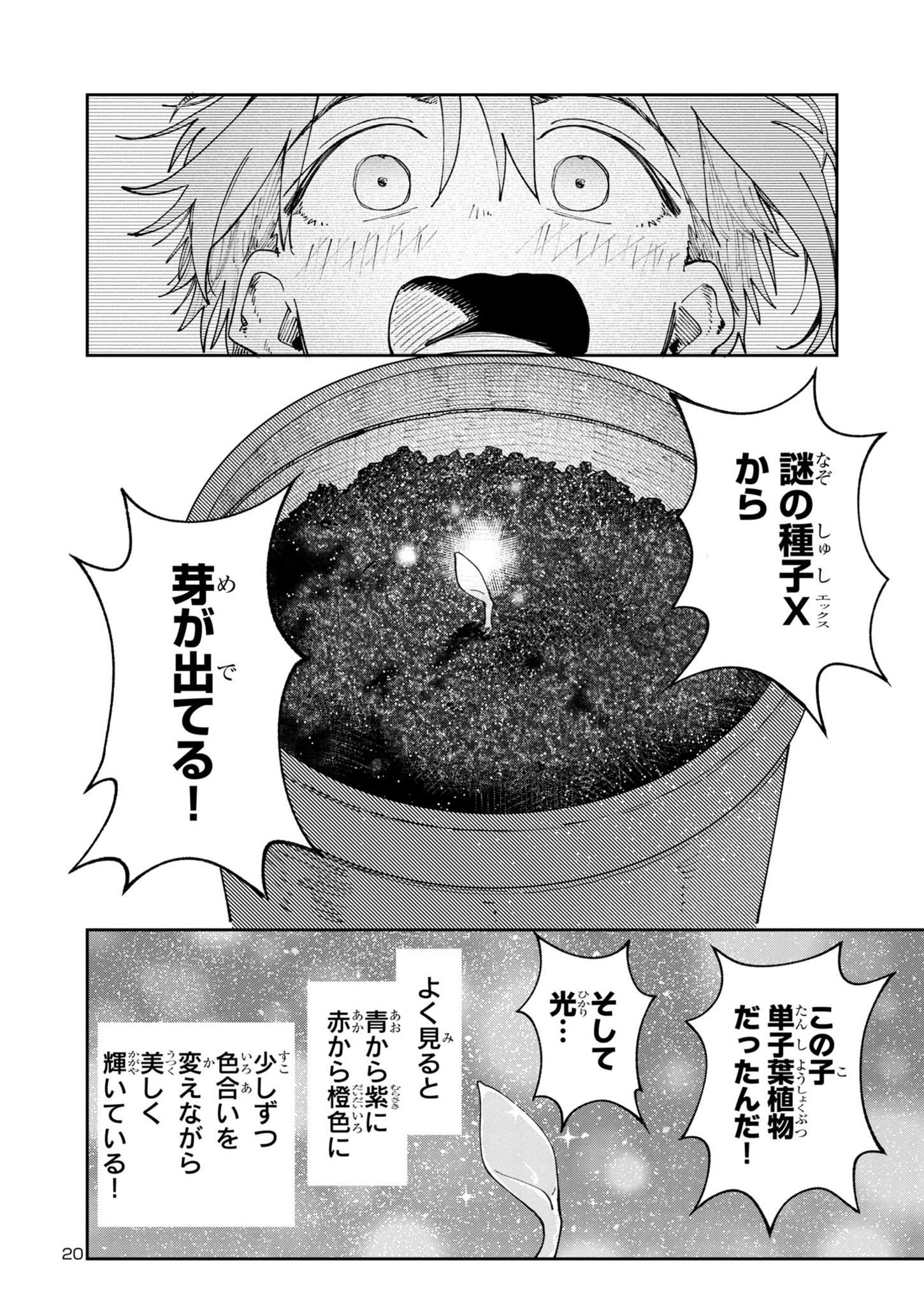 20