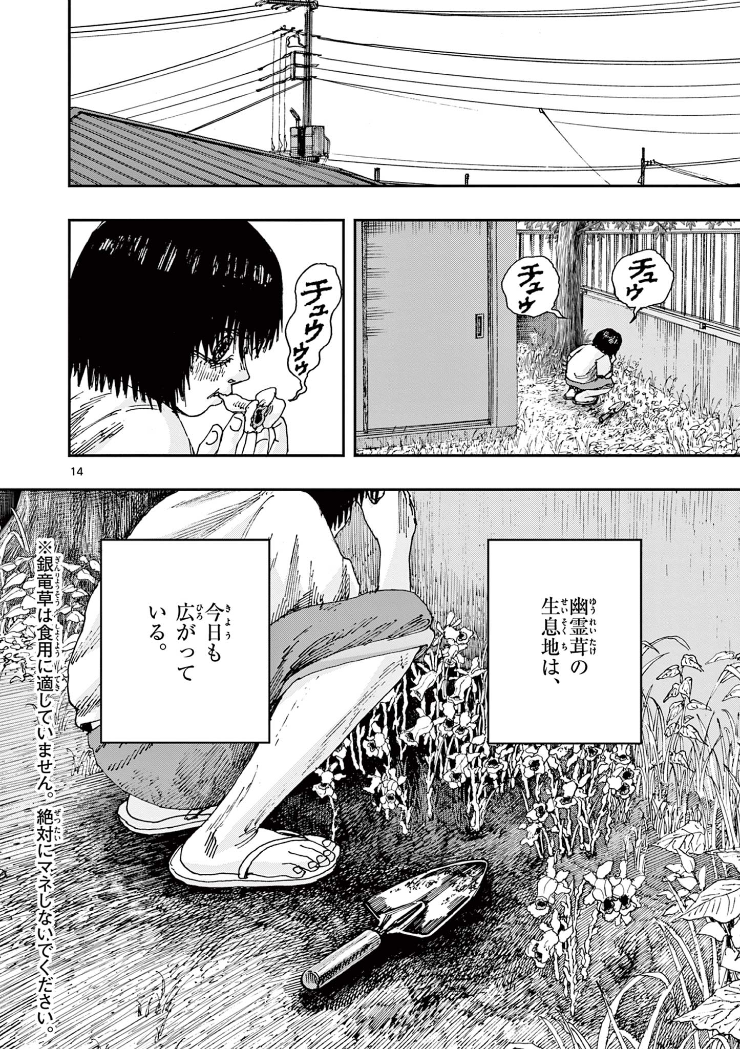 14