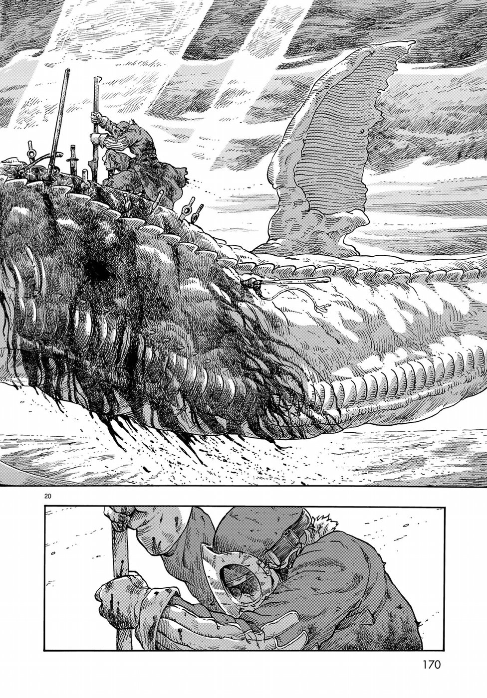 20