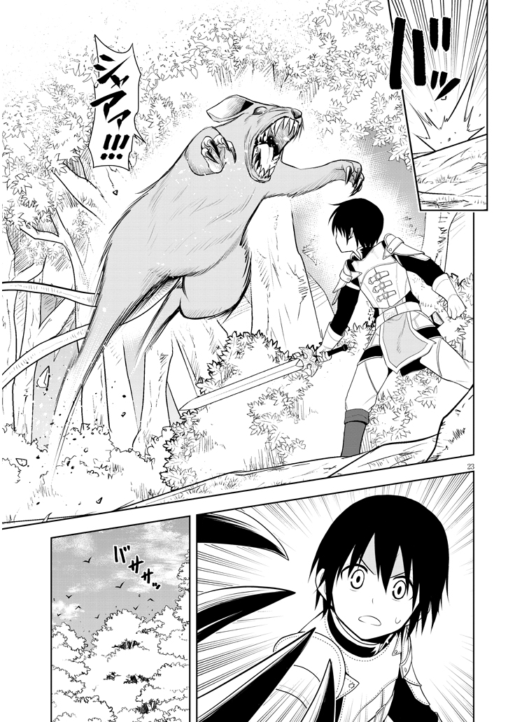 23
