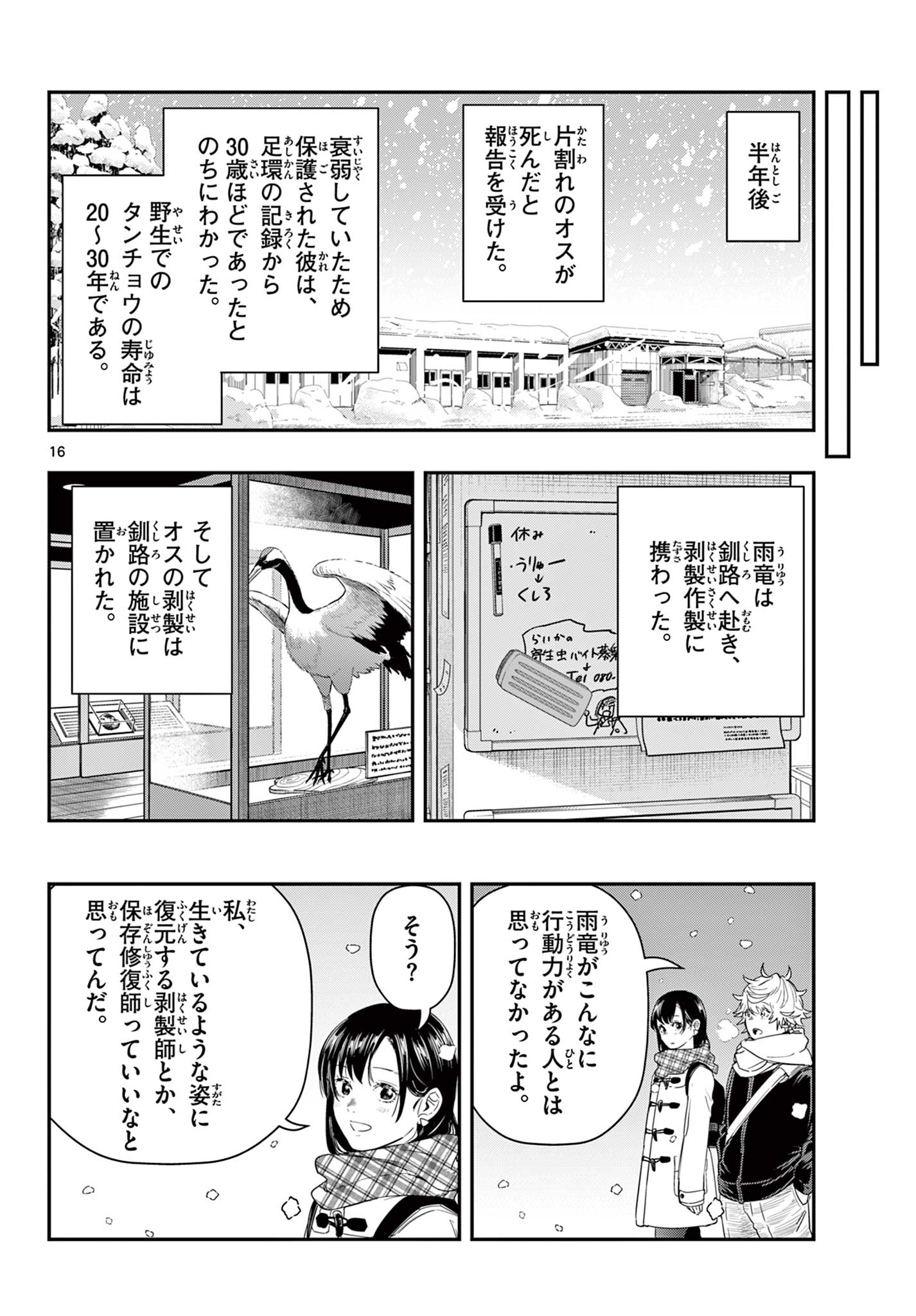 16