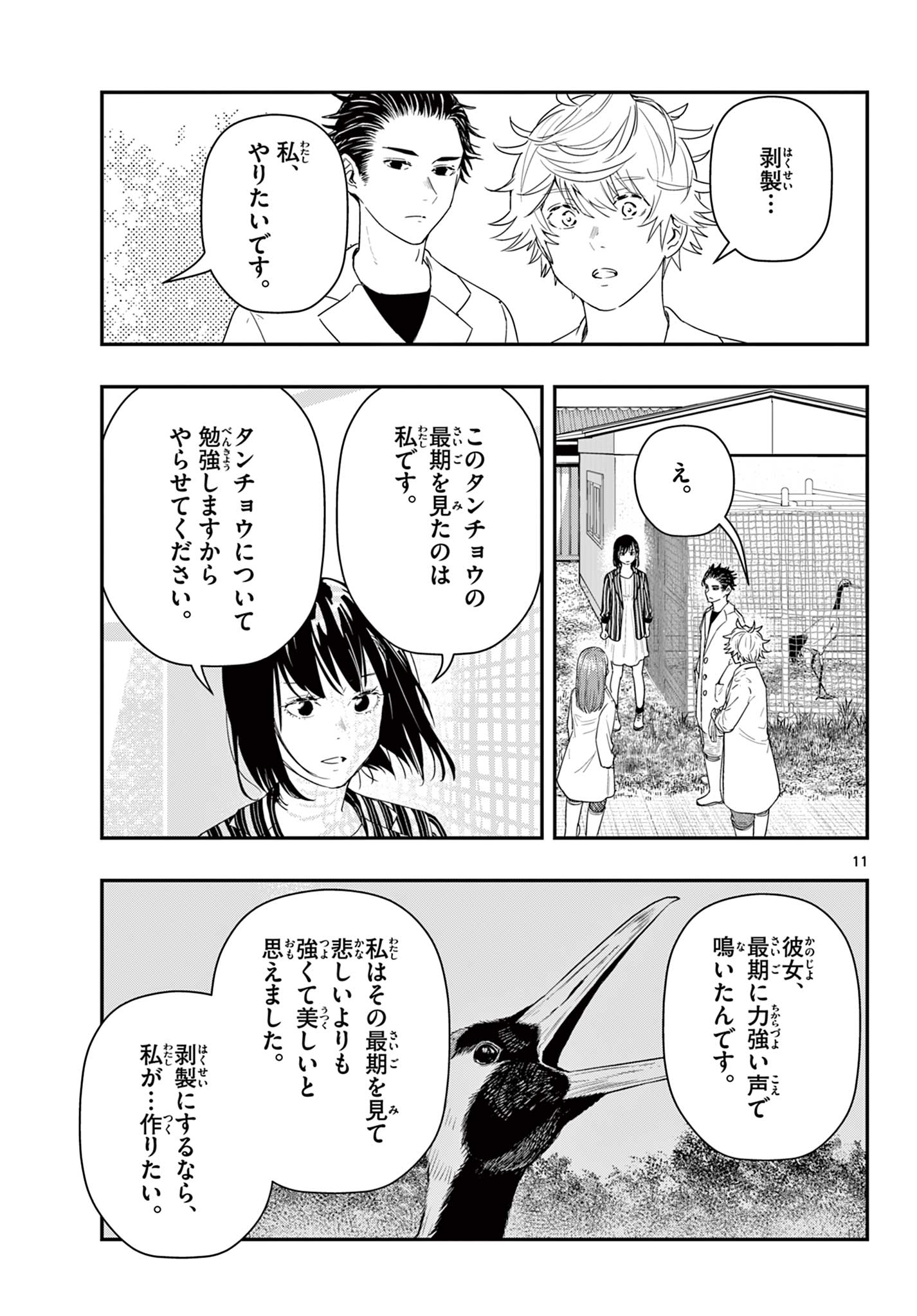 11