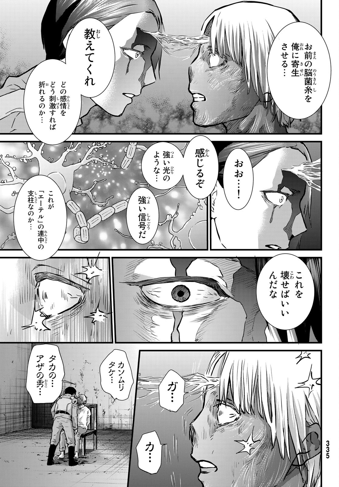 31