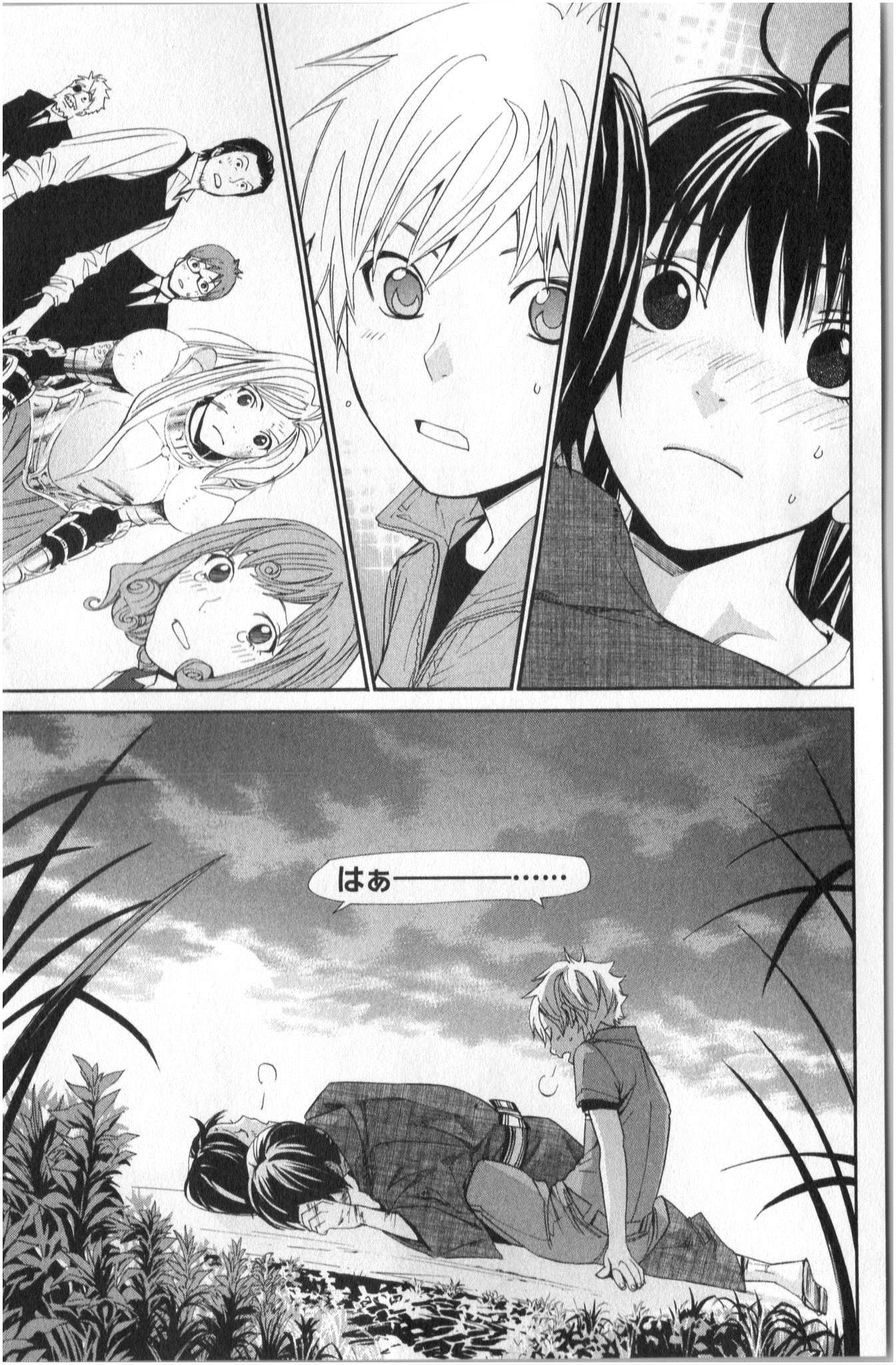 41