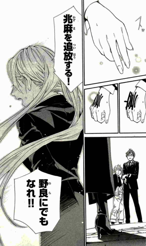 41